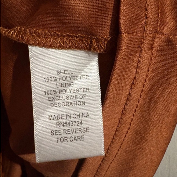 Linda Anderson Rust Orange Swiss Dot Lace Yoke Long Sleeve Bohemian Office Dress - Picture 7 of 9